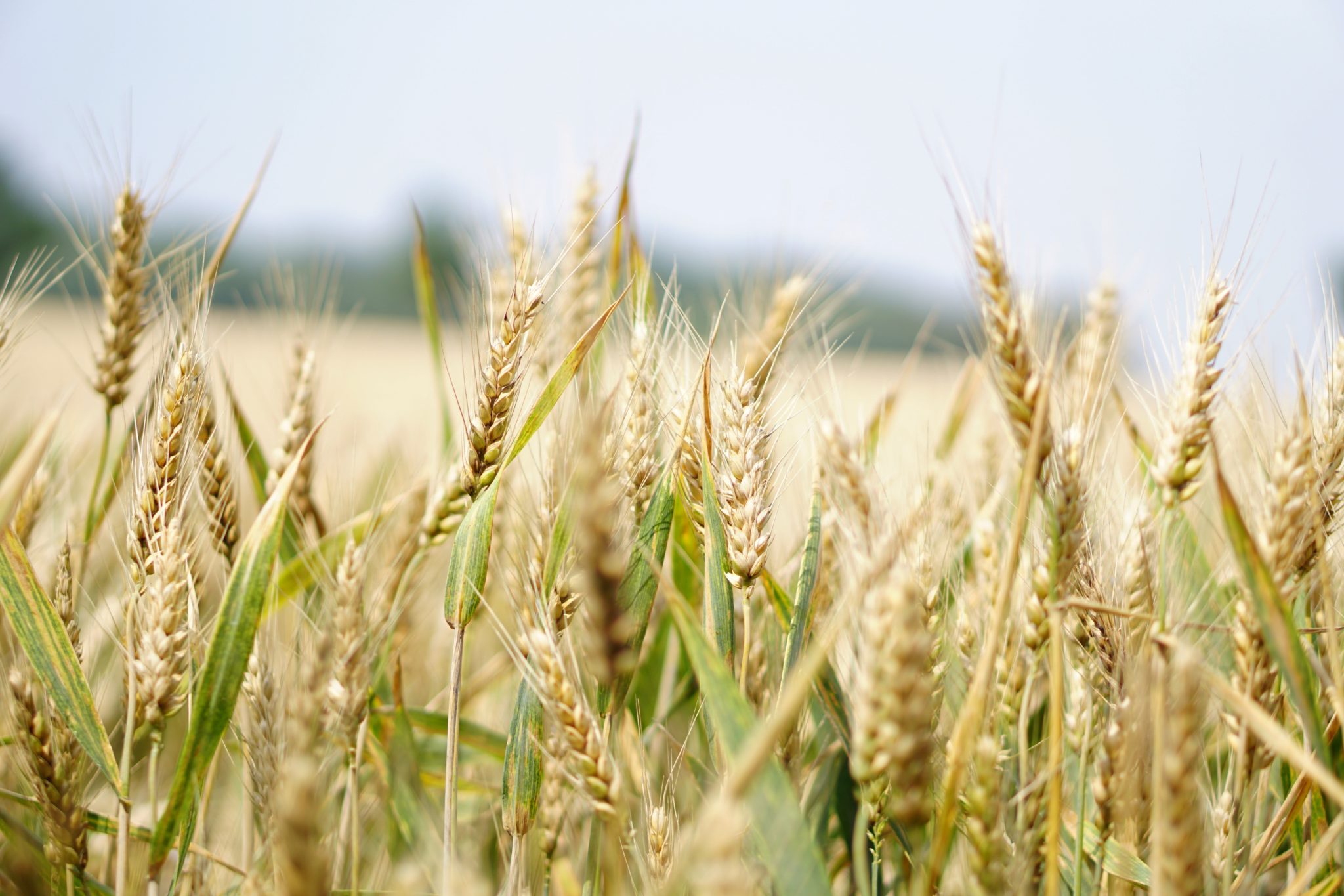6 Tips for UAV Success in Farming