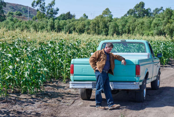 Farmer with truck standing by crops
