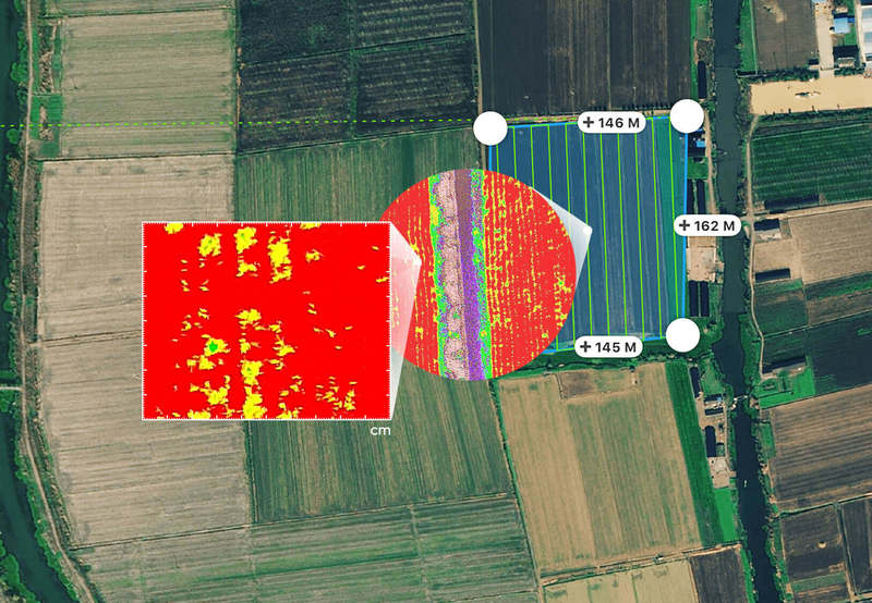P4 Multispectral – Your New Smart Agriculture Tool