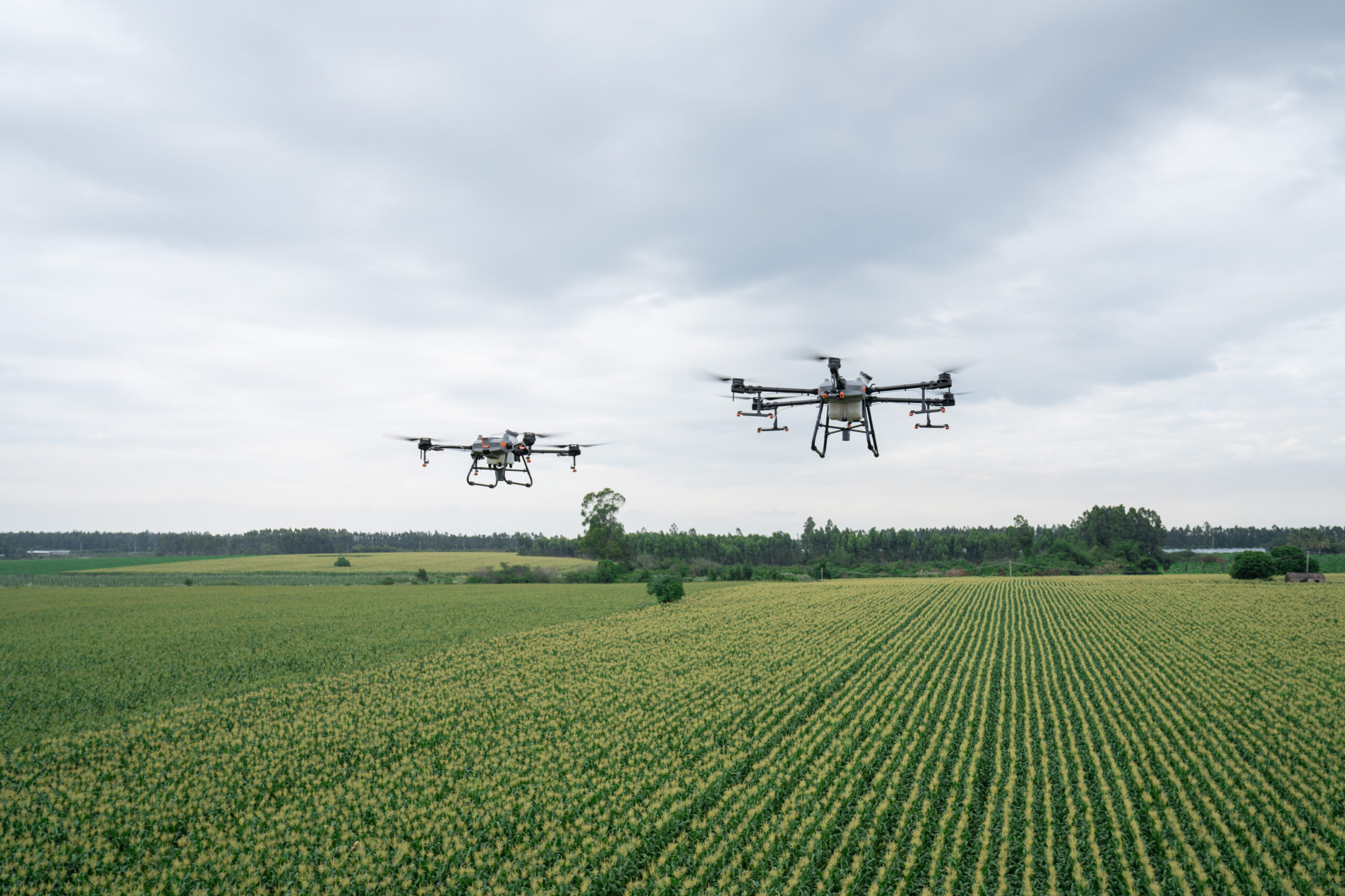 Agricultural Drone Spraying Technology