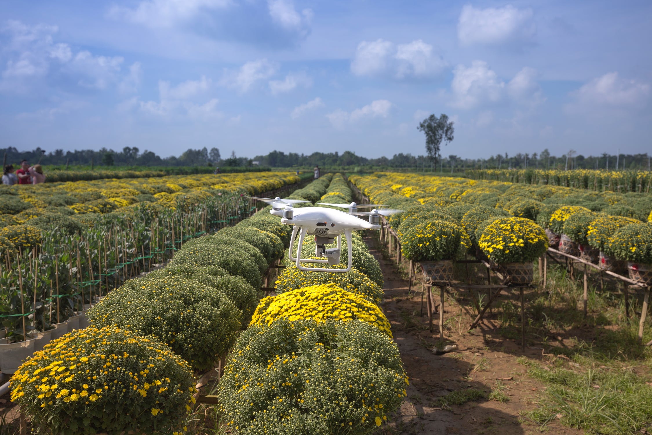 Revolutionizing Food Accessibility & Agricultural Sustainability with Drones