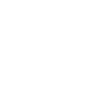 DJI Matrice 300 Wide Camera Icon