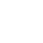 DJI Ronin 4D white icon