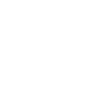 DJI Ronin 4D white icon