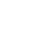 DJI Ronin 4D white icon