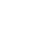 DJI Ronin 4D white icon