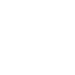 DJI Ronin 4D white icon