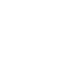 DJI Ronin 4D white icon