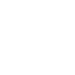 Mavic 3 Enterprise Icon