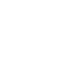 Mavic 3 Enterprise Icon