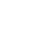 Mavic 3 Enterprise Icon