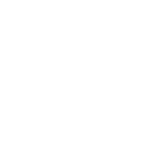 Mavic 3 Enterprise Icon