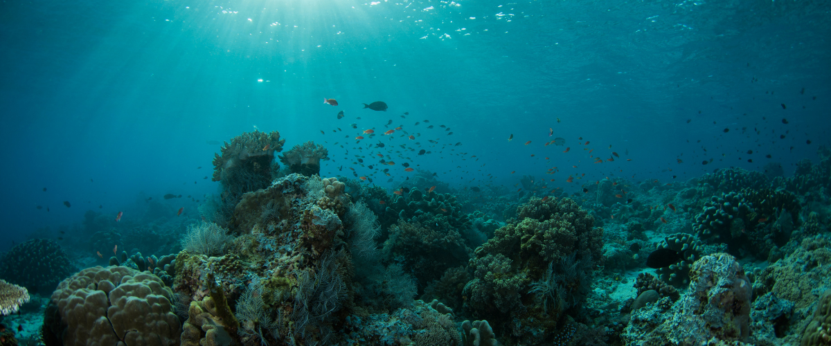 Introducing Powerful Technology for Underwater Operations