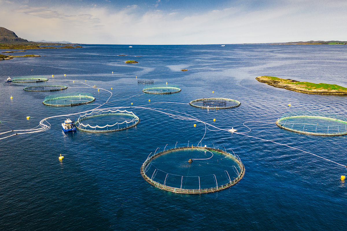 Aquaculture