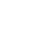 DJIA Agras T20P Icon Spreading Payload