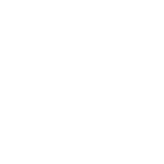 Zenmuse L2 Icon One-Click Processing on DJI Terra