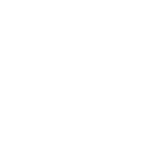 Zenmuse L2 Icon Point Cloud LiveView