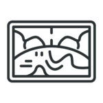 IdeaForge-Netra V4 Pro Terrain Avoidance and Tracing icon