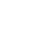 Always Flying Program icon