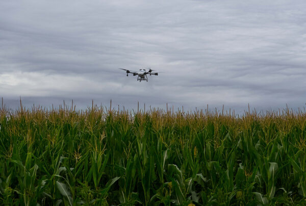 ABZ-Innovation-L50-Crop-Spraying-2