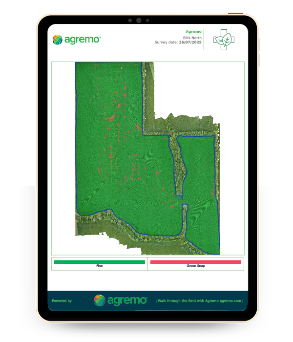 Agremo-Green-Snap-Detection